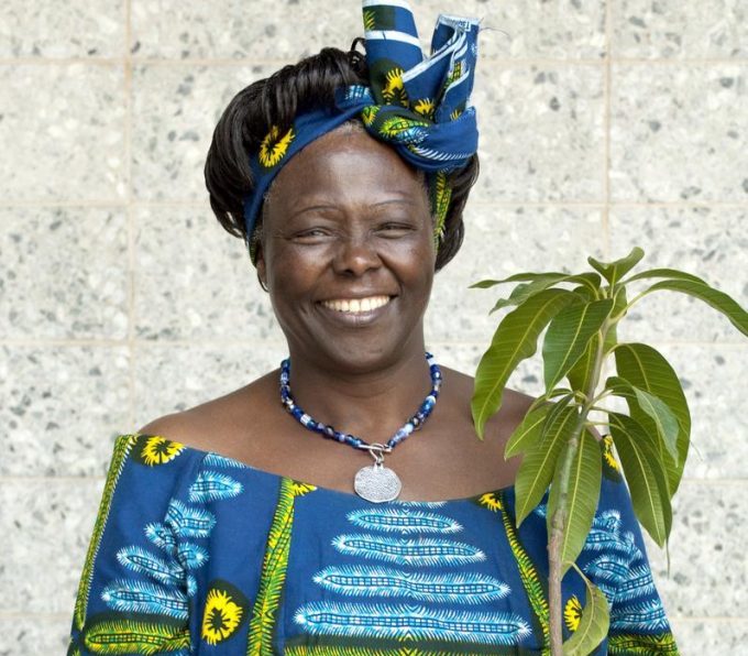 Wangari Maathai - Educatief Software Collectief